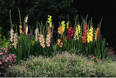 PSVR《节奏光剑》更新多人玩法 最多5人联机PK